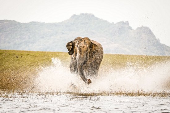 Le parc national de Maduru Oya