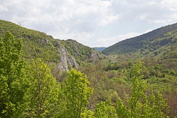 Parc national des gorges de la Nera-Beușnița