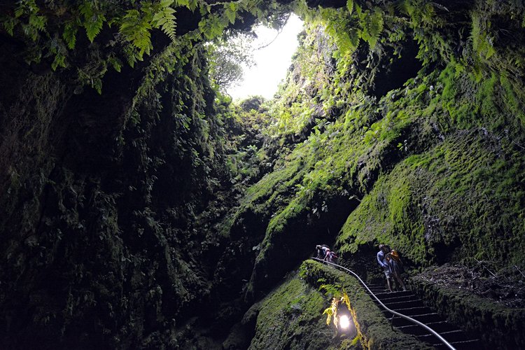 Dans les profondeurs d’Algar do Carvao