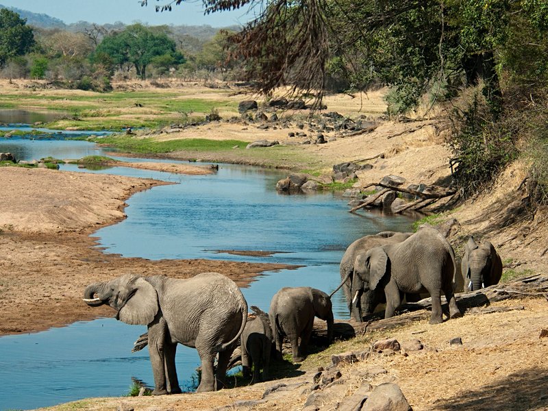 Parc national de Ruaha