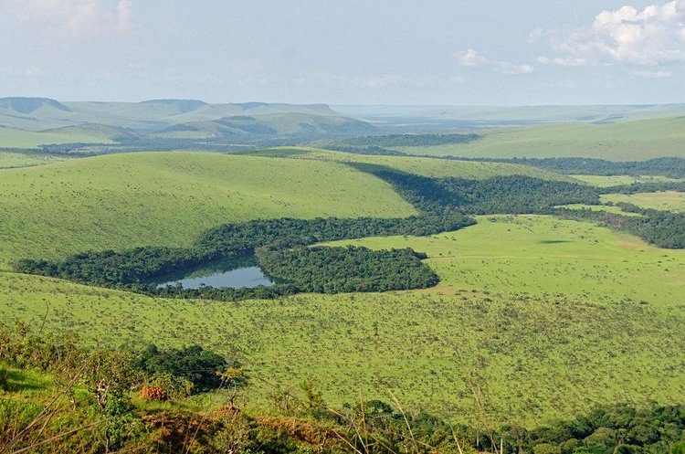 Le parc national de la Léfini et de Lesio-Louna 2