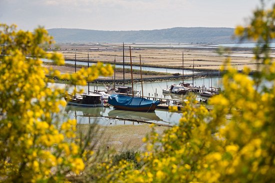 Sečovlje Saltworks