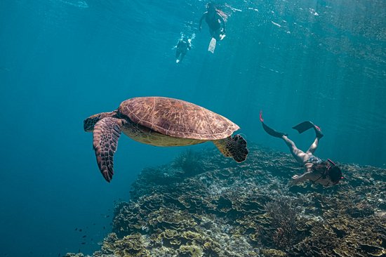 Pescador Island