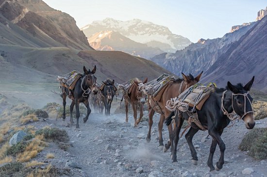 L’Aconcagua