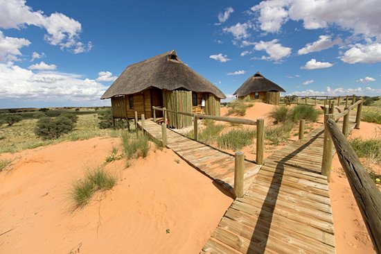 Parc transfrontalier de Kgalagadi