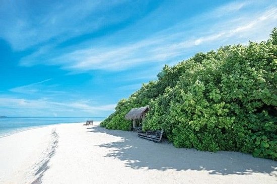 Makunudhoo