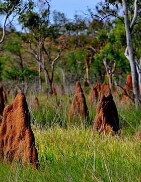 Les plus beaux lieux de l' Australie