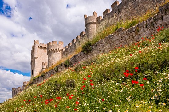 Château de Peñafiel
