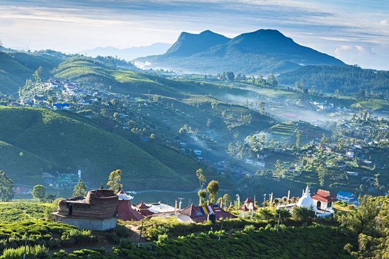 Randonnées à Nuwara Eliya