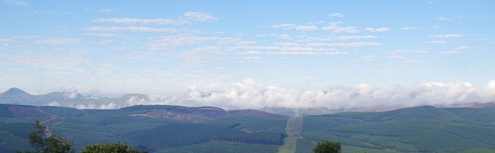 Pigg’s Peak