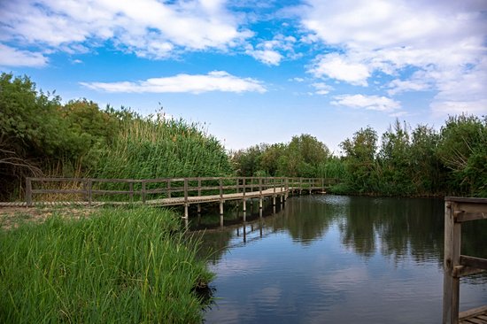 Réserve d'Al-Azraq