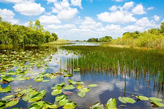 Blue Spring State Park