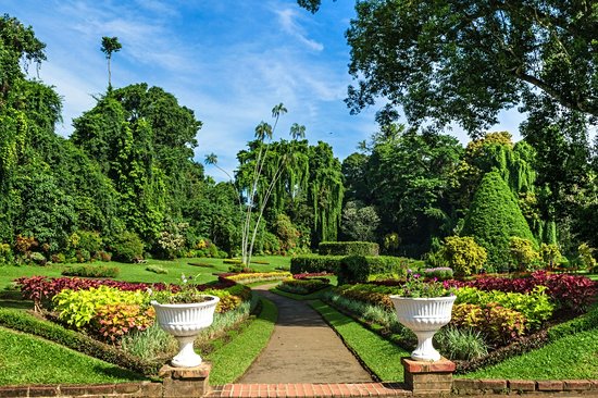 Jardin botanique de Peradeniya