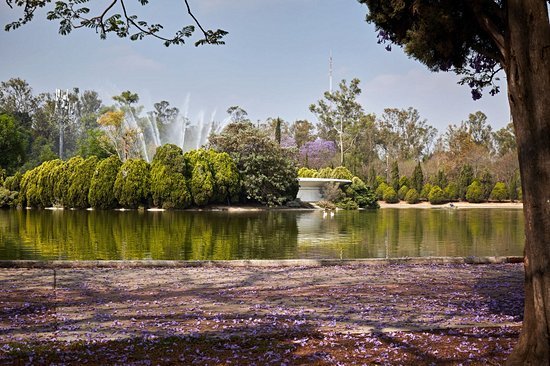 Bosque de Chapultepec