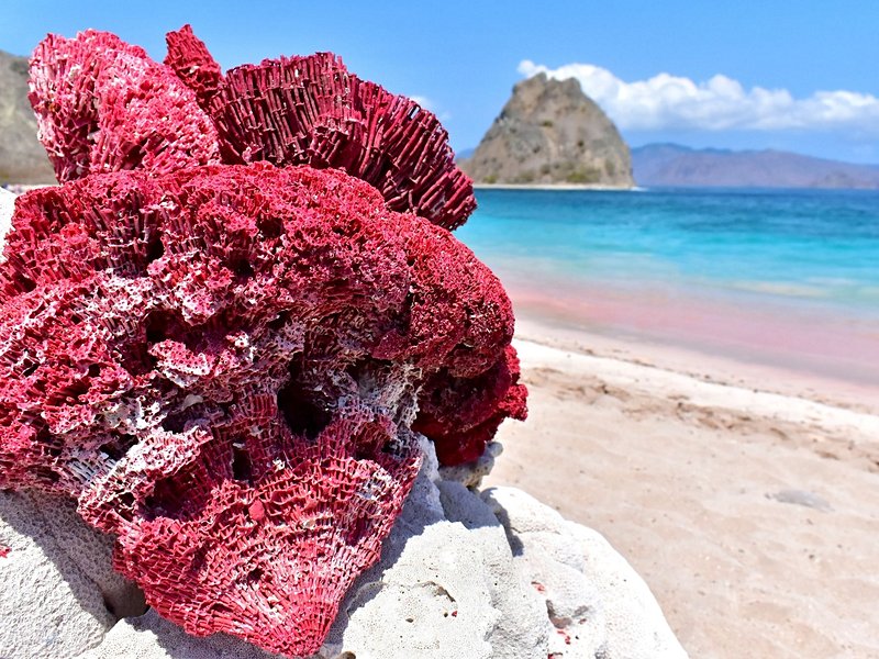 Pink Beach