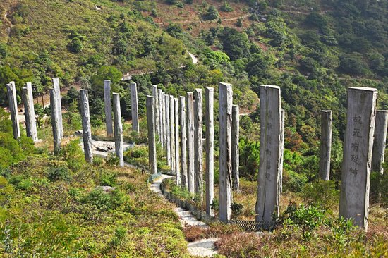 Wisdom Path