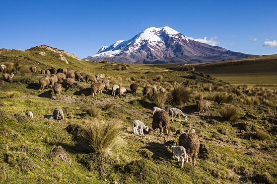 Chimborazo