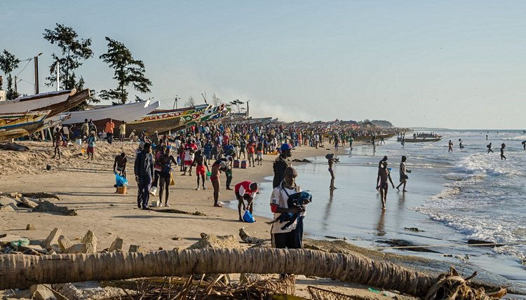 Kafountine, au plus près des pêcheurs sénégalais