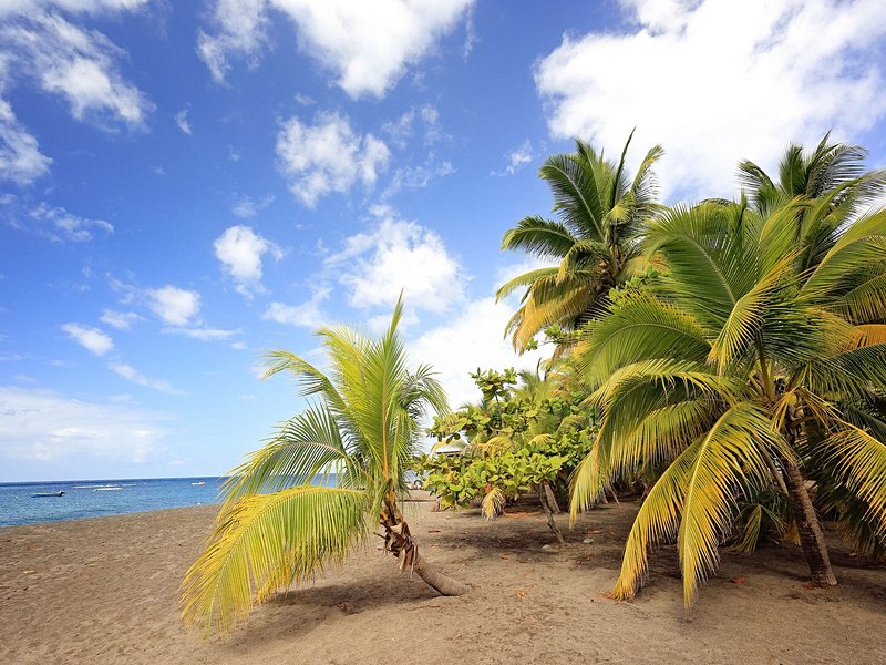 Grande Anse du Carbet