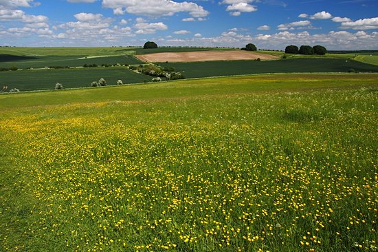 Avebury