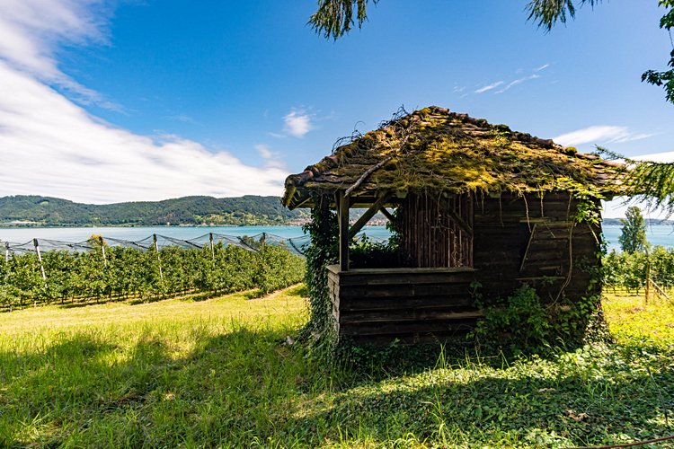 La rando lacustre : le chemin du lac, au bord du lac de Constance 2