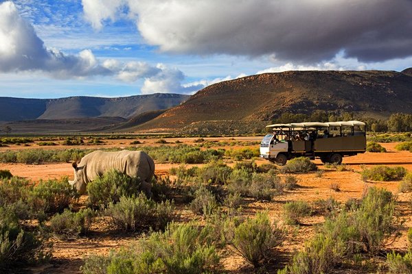 safari Afrique du Sud