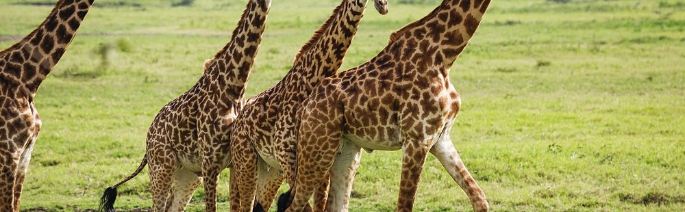 Parc national d'Arusha