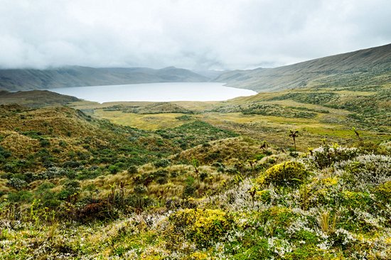 Parc national Llanganates