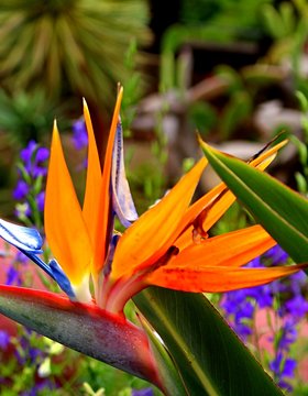 Les plus beaux lieux de Funchal