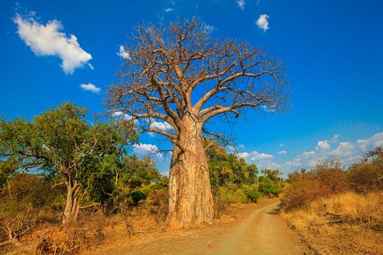 Réserve naturelle de Musina