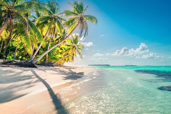 Les plages de l'île de Pemba