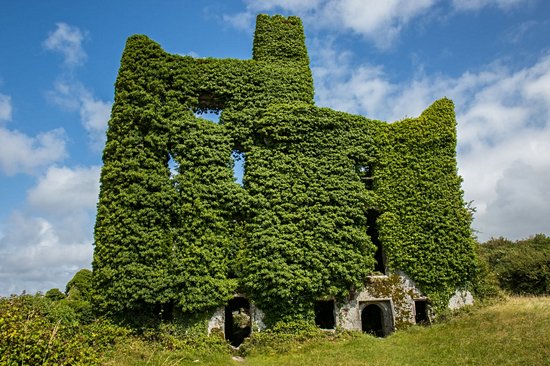 Admirez le Menlo Castle, dévoré par la verdure