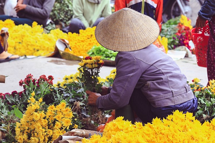 Hô Chi Minh City 4