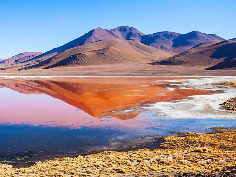 Laguna Colorada