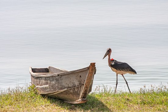 Lac Victoria