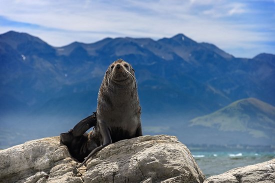 Kaikoura