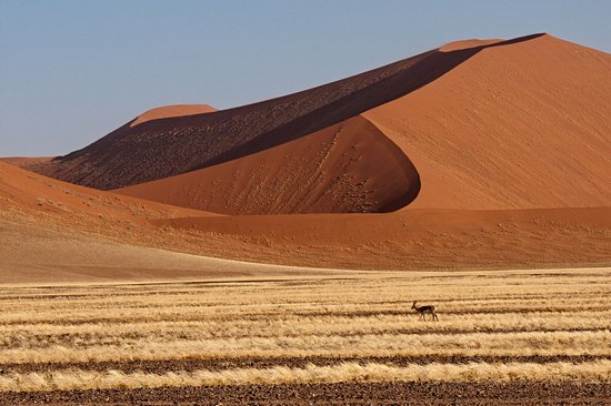 Désert du Namib