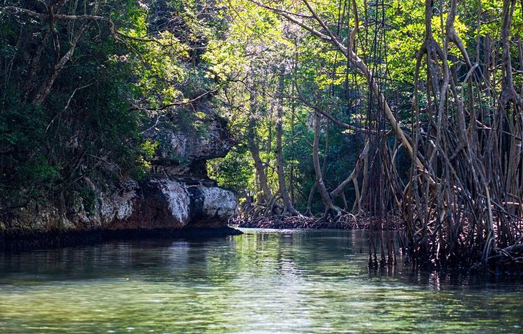 Parc national de Los Haitises