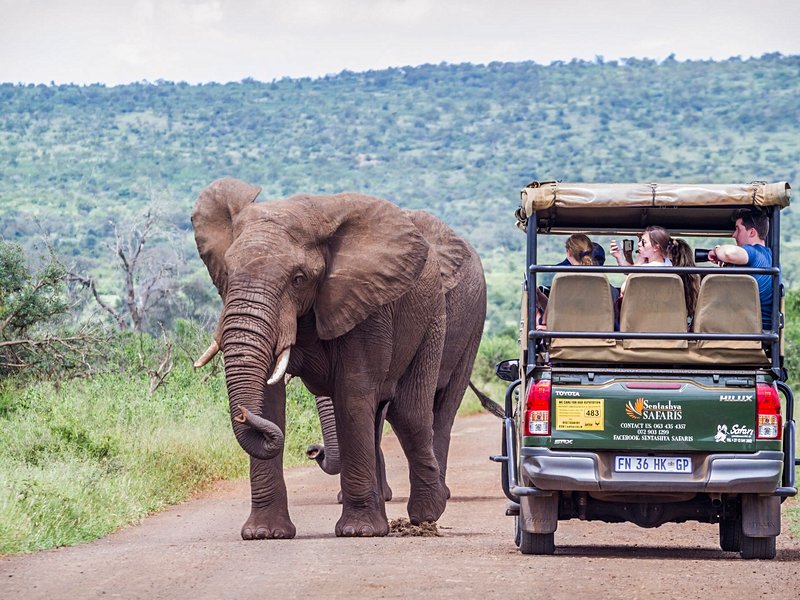 Parc national Kruger