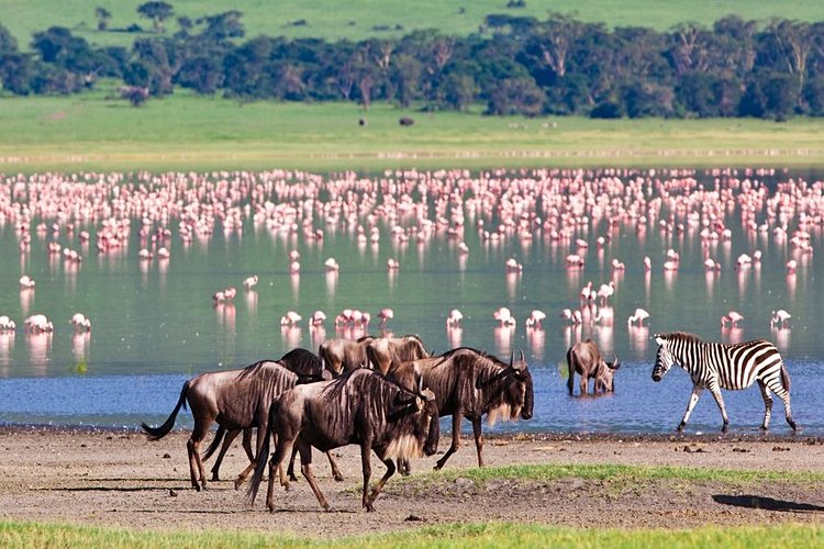 Le cratère de Ngorongoro