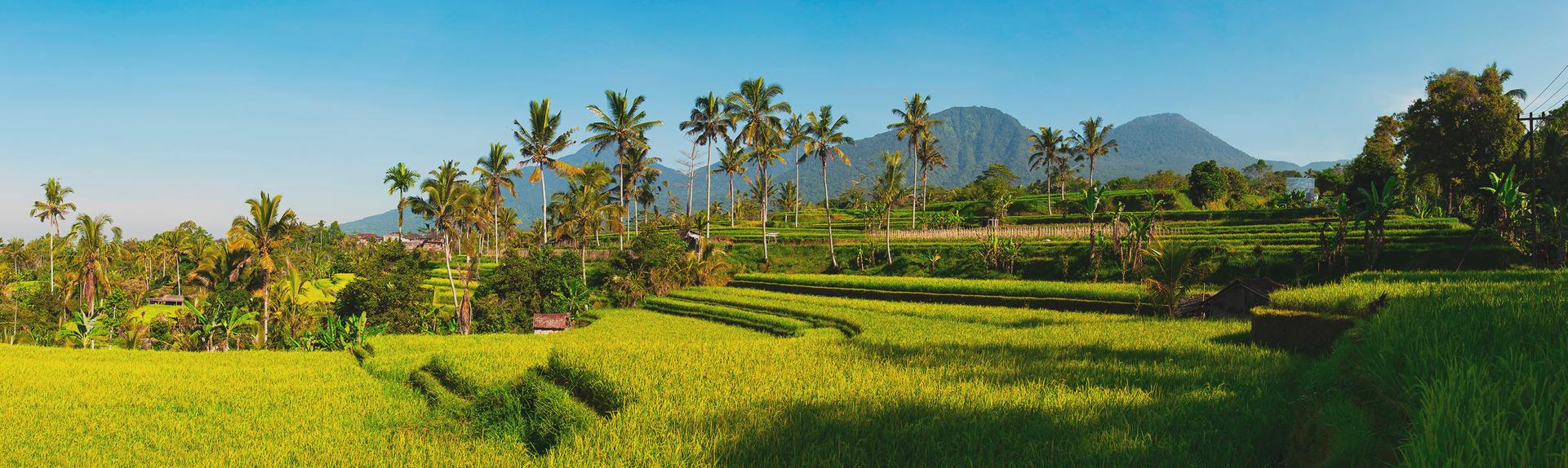 Bali