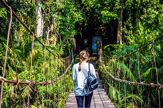 Parc national de Khao Yai : trail n°5