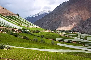 Valle del Elqui