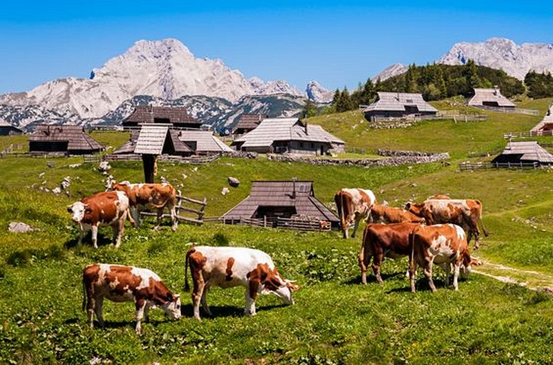 Séjourner dans une ferme traditionnelle slovène