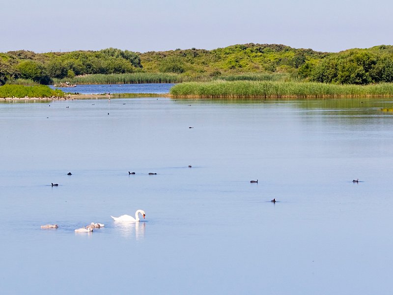 Parc du Marquenterre