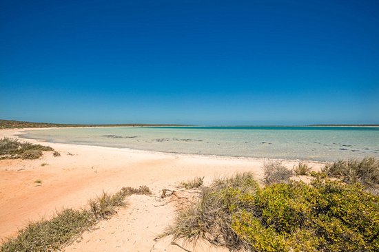 Shell Beach (Coral Bay)