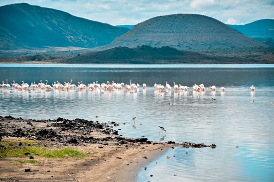 Lac Elementaita
