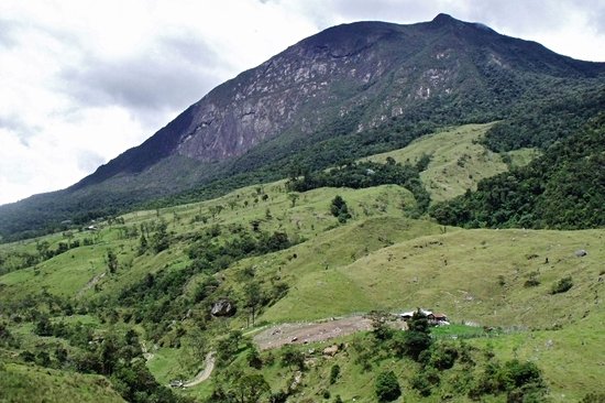 Parc national El Tamá