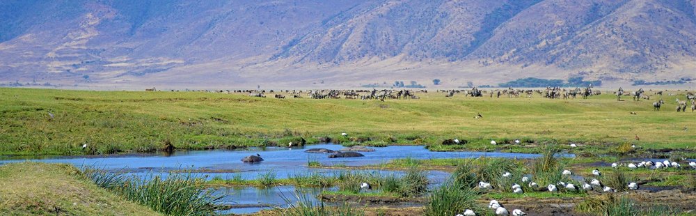 Comment visiter le Ngorongoro ?