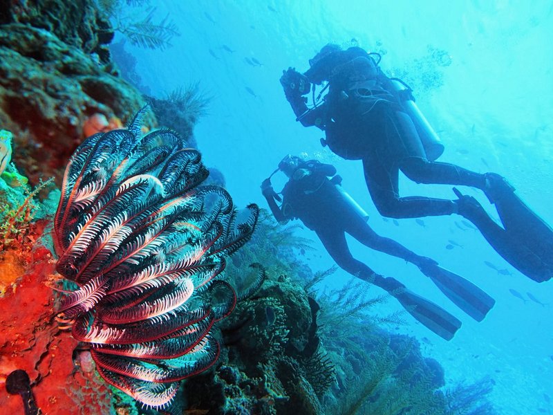 Raja Ampat, Papouasie Occidentale